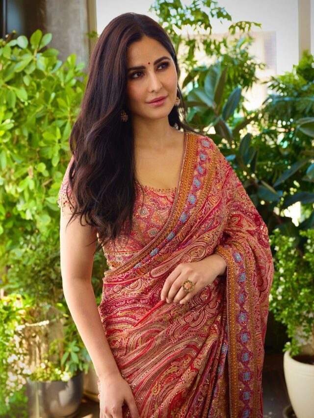 Katrina Kaif, Alia Bhatt, And More Celebs Give You Inspiration For Karwa Chauth 2025!