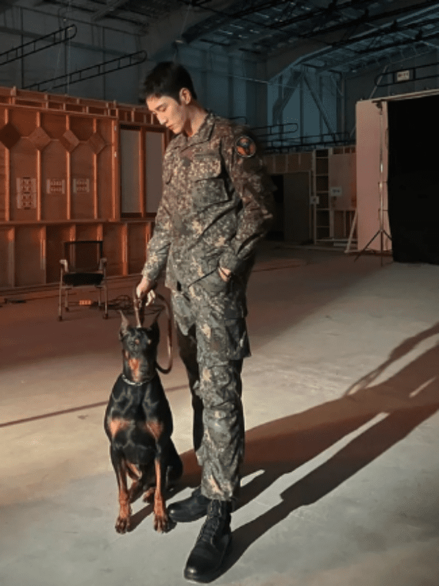 From Mr Sunshine To DP, 8 K-Dramas Military K-Dramas That Will Have You Hooked!