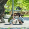 summer-strike-a-drama-that-is-like-a-warm-hug-in-winters-v0-mvveg3crpuqb1