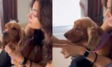 Rashmika Mandanna Shows Off Alleged Engagement Ring In Adorable Video Featuring Dog Aura!