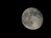 Sharad Purnima 2025: Date, Time, Manifestation Rituals And Significance; Here’s All You Need To Know!