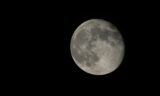 Sharad Purnima 2025: Date, Time, Manifestation Rituals And Significance; Here’s All You Need To Know!