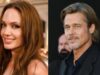 Brad Pitt Sues Ex-Wife Angelina Jolie Over Sale Damages In Shared Winery. All We Know