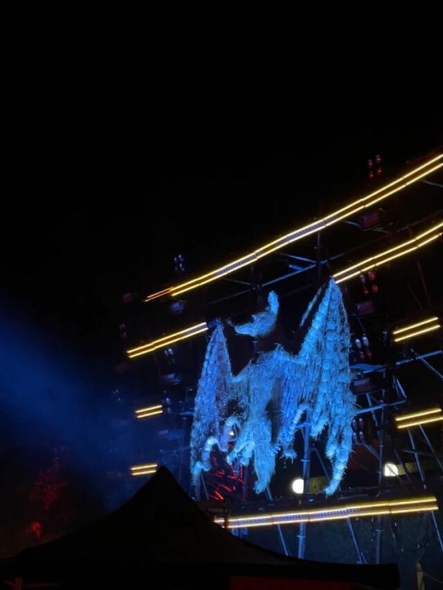 Highlights From The Crazy Weekend At Casa Bacardi’s Tropical Party In Goa!