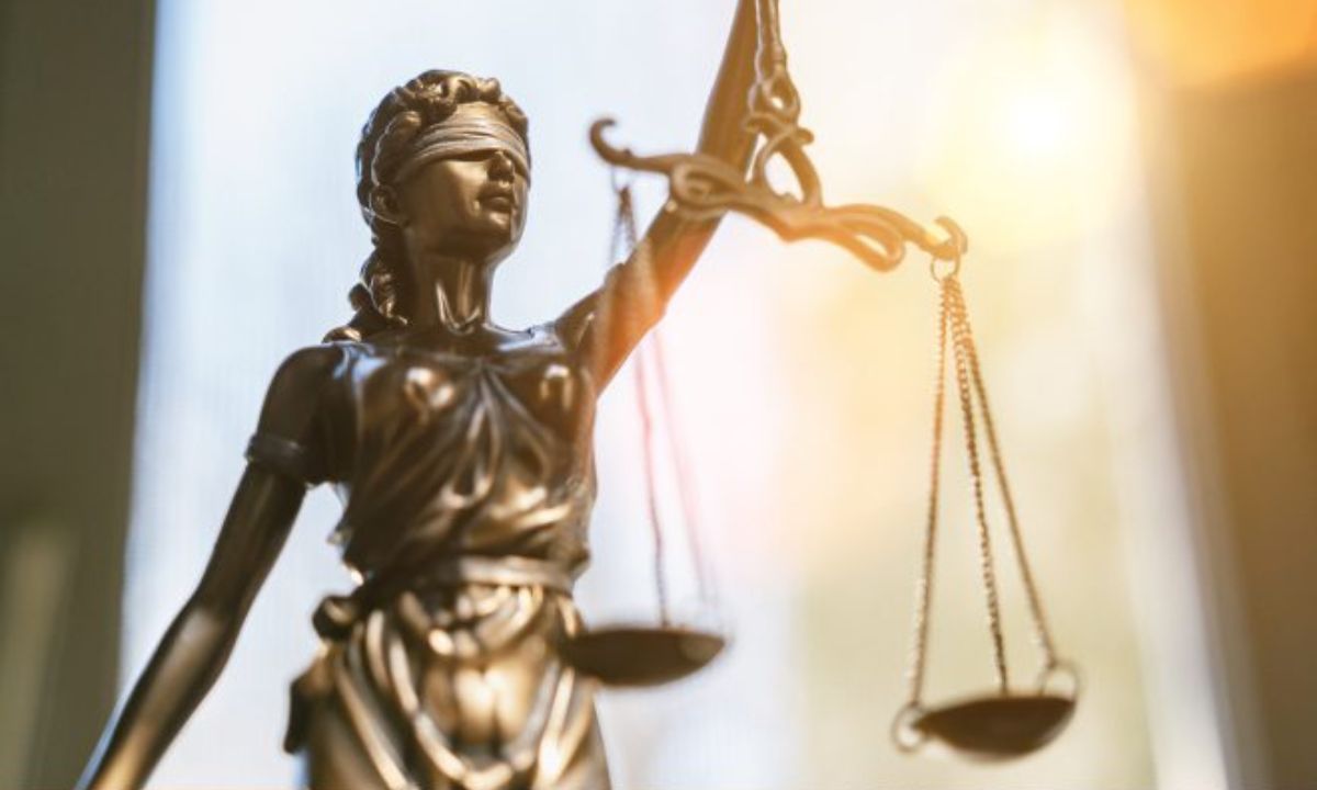 Trending gallary category