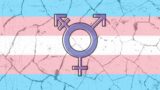 Explained: Why Are Queer Folk (And Allies) So Against The Transgender Rights Amendment Bill 2026?