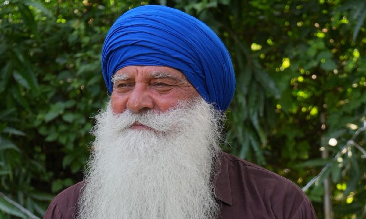 Trending gallary category