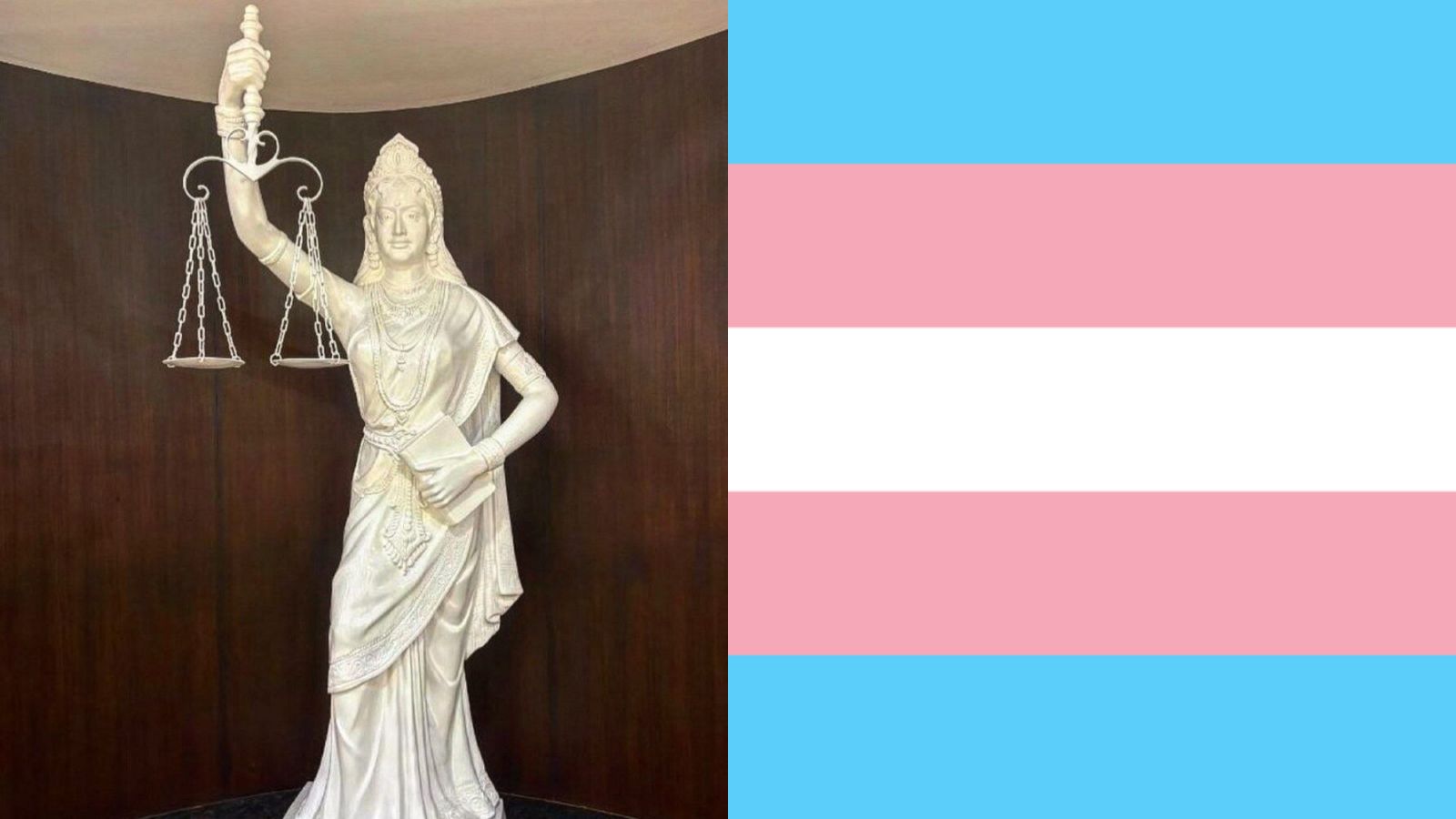 Supreme Court-Appointed Panel Urges Govt To Withdraw Transgender Bill 2026 A Day After Parliament Passes It