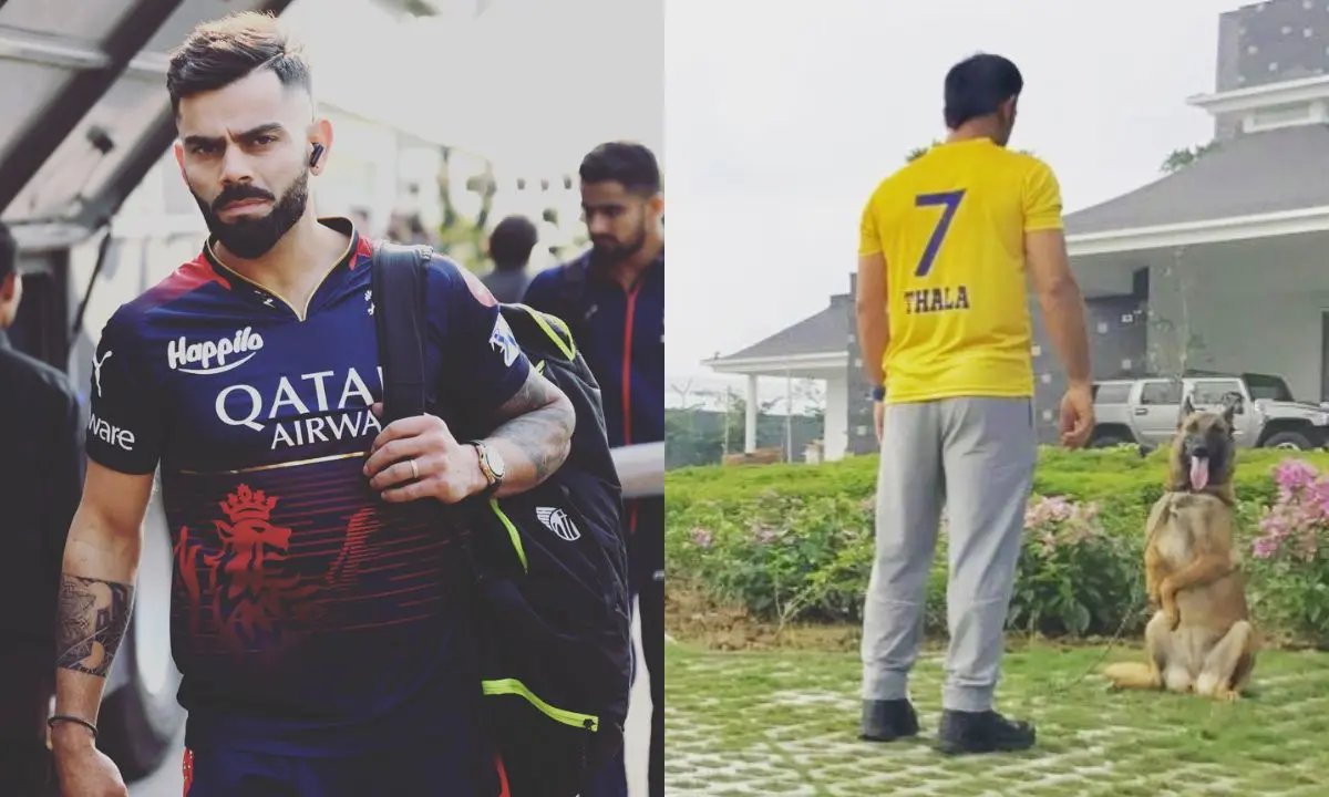 Trending gallary category