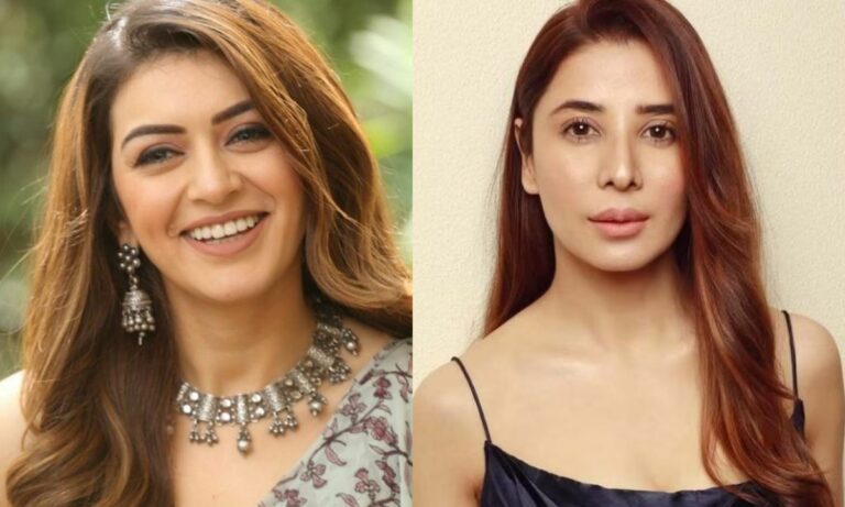 hansika-motwani-files-defamation-case-against-sister-in-law-demands-rs-2-crore-public-apology-muskaan-nancy-james