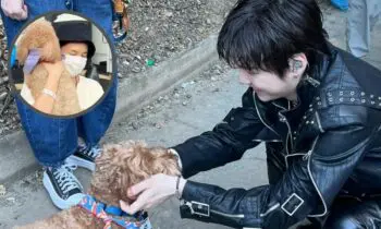 All You Need To Know About STONEY BLUE, Emotional Support Dog At BTS’ Arirang World Tour!
