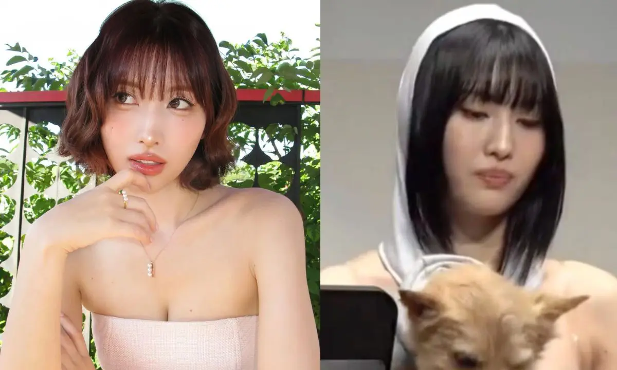Alleged Creepy Fan Clarifies Viral Incident With TWICE Momo. Here’s What Actually Happened!