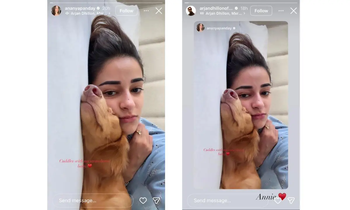 ananya-panday-punjabi-singer-arjan-dhillon-dating-rumours-viral-instagram-story