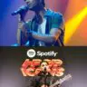 Spotify-I-Pop-Icons